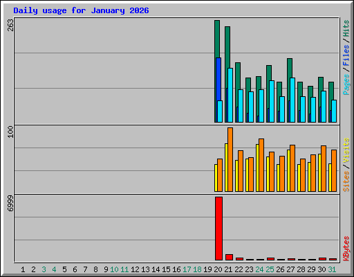 Daily usage for January 2026