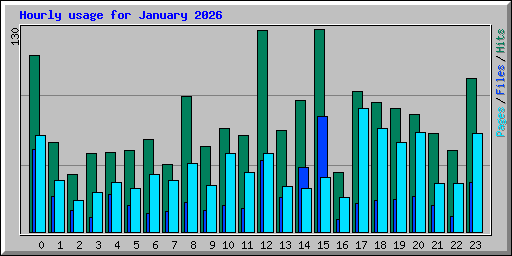 Hourly usage for January 2026